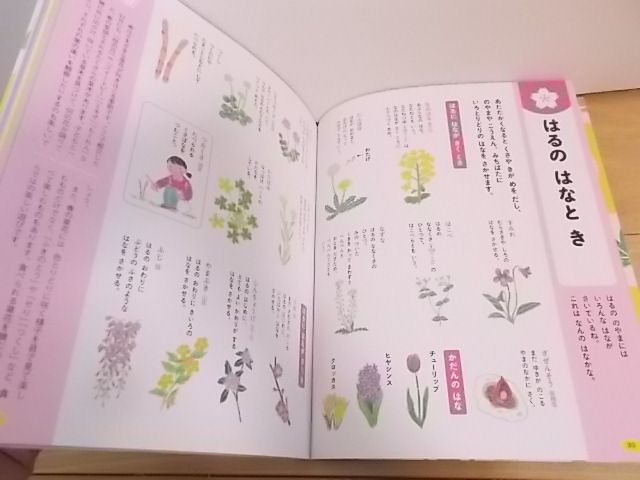 こども きせつのことば 絵じてん 三省堂 辞典 ベビー用品レンタル リサイクルぴよこ こども きせつのことば 絵じてん 三省堂 辞典 ベビー用品レンタル リサイクルぴよこ